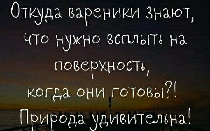 Откуда ваРеники знают ЧТо нужно всплыть на поверхность КОГда они готввы Природа удивитшьна