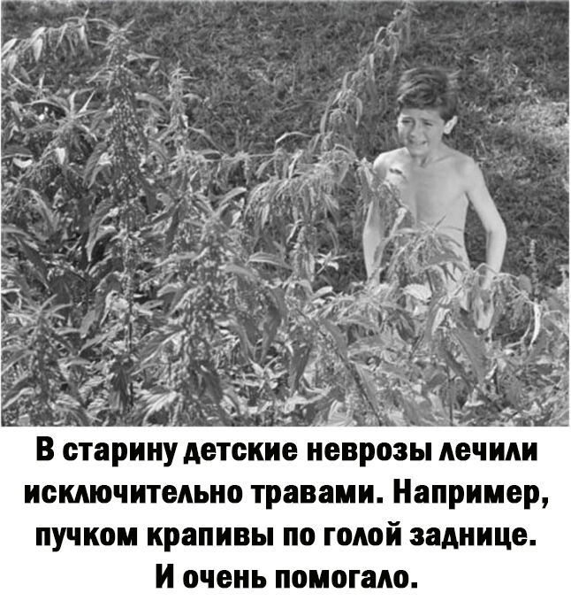 розы лечил исключительно травами Например пучком крапивы по голой заднице И очень помогаю
