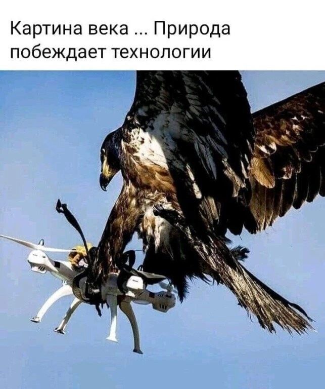 Картина века Природа побеждает технологии