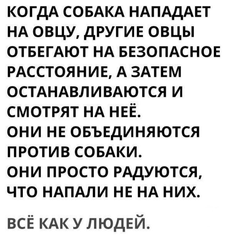 когдА СОБАКА НАПАдАЕТ НА овцу другие овцы ОТБЕГАЮТ НА БЕЗОПАСНОЕ РАССТОЯНИЕ А ЗАТЕМ ОСТАНАВЛИВАЮТСЯ и смотрят НА НЕЁ они не овъвдиняются против СОБАКИ они просто РАДУЮТСЯ что НАПАЛИ НЕ НА них всЁ КАК у ЛЮДЕЙ