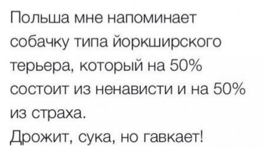 Польша мне напоминает собачку типа йоркширского терьера который на 50 состоит из ненависти и на 50 из страха Доожит сука но гавкает