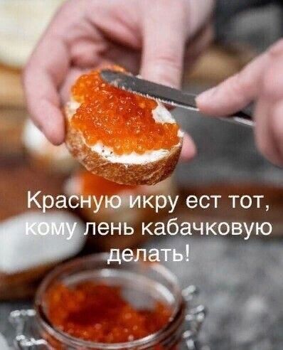 К аучі 1у ест тот ень фкабачковую дел
