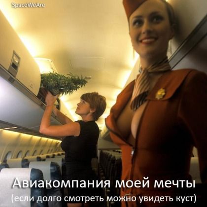 а ОМПЭНИЯ МОЕЙ МЕЧТЫ домо смотреть можно увидеть куст