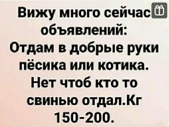 Вижу много сейчаса объявлений Отдам в добрые руки пёсика или котика Нет чтоб кто то свинью отдалКг 150 200