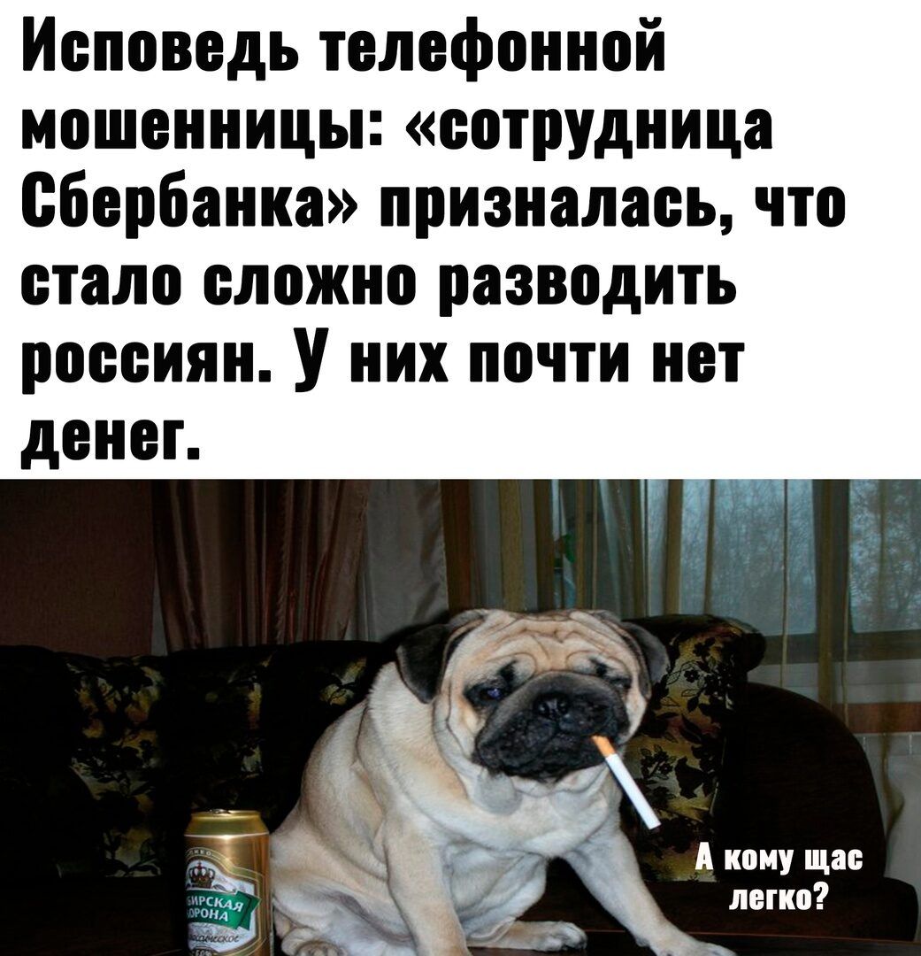 Исповедь телефонной мошенницы соТРУдиица сбербанка призналась что стали сложно разводить россиян У них почти нет денег
