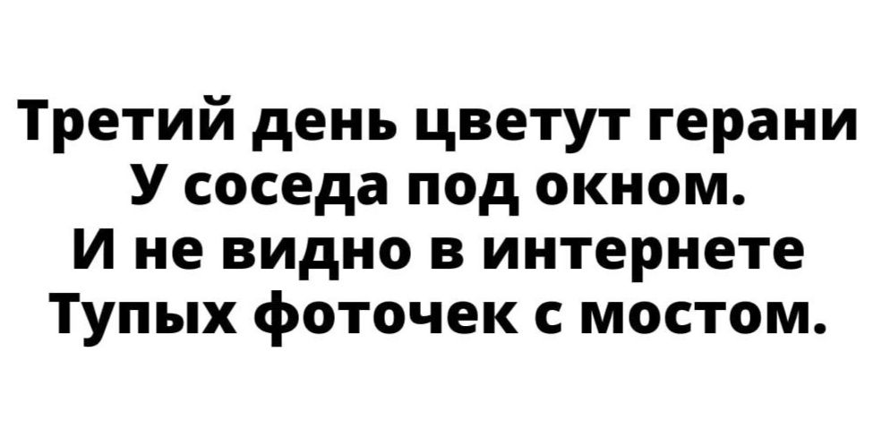 Третий день цветут герани У соседа под окном И не видно в интернете Тупых фоточек с мостом