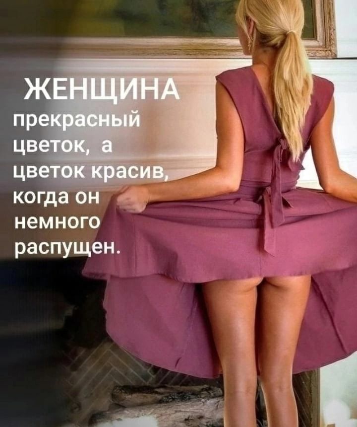 ц ц когда 4 немного распущен
