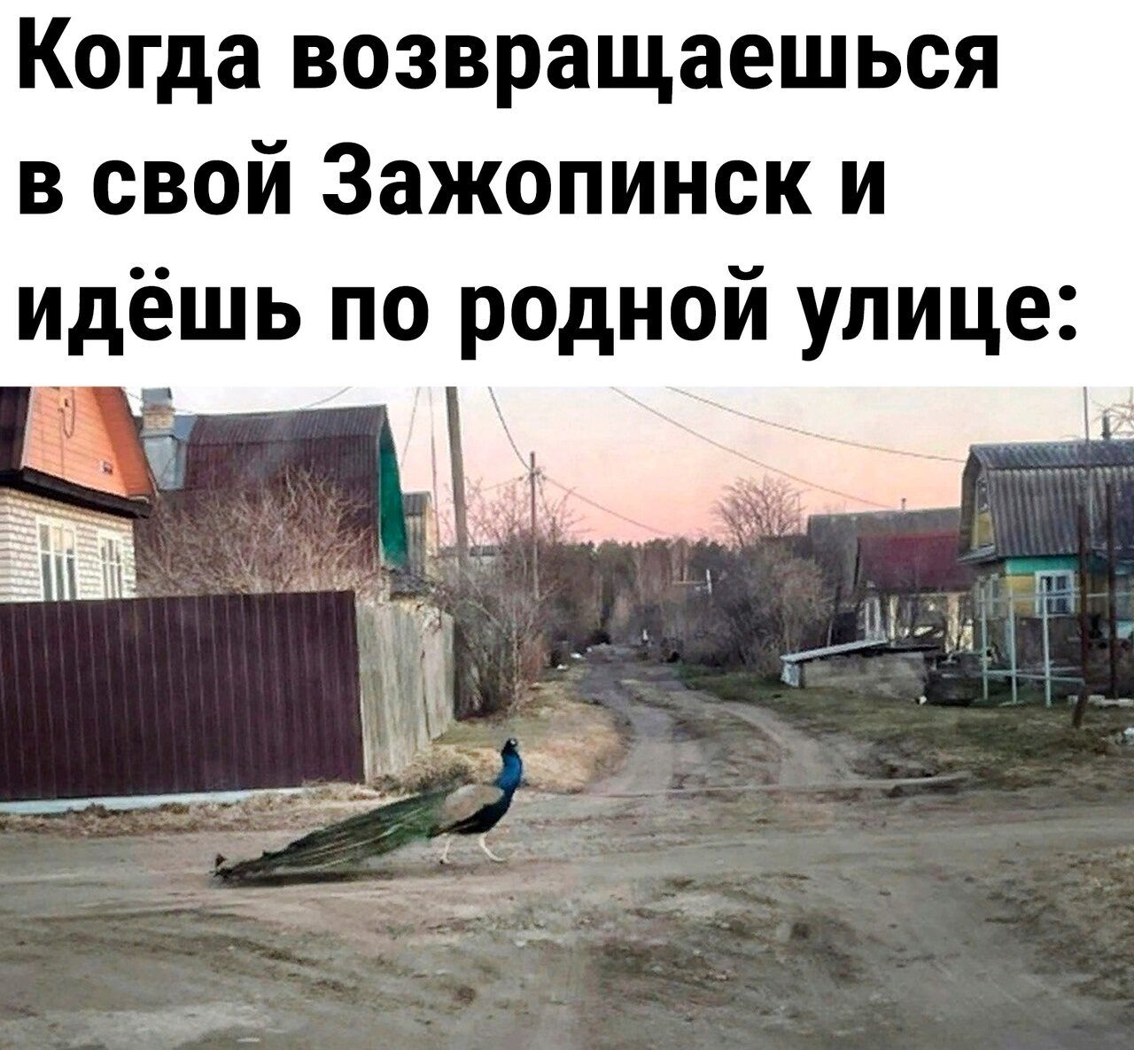 Когда возвращаешься в свой Зажопинск и идёшь по родной улице