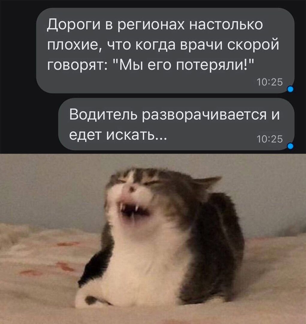 дороги в регионах настолько плохие что когда врачи скорой говорят Мы его потеряли 1026 5 Водитель разворачивается и ВдеТ искать 1025