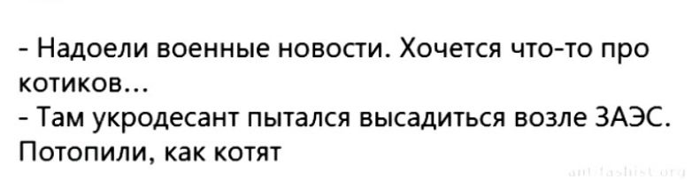 Надоели военные новости Хочется що ю про комков Там укродесант пытался высадиться возле 3Аэс Потопили как котят
