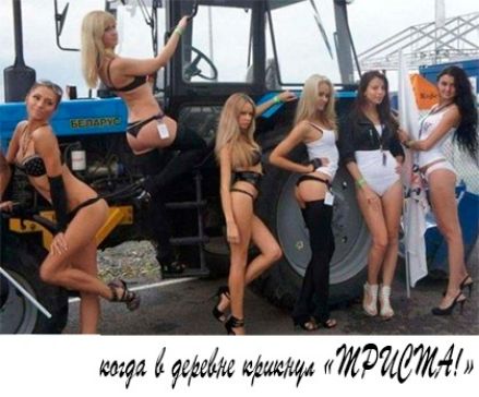 ща идиш 7117774677141