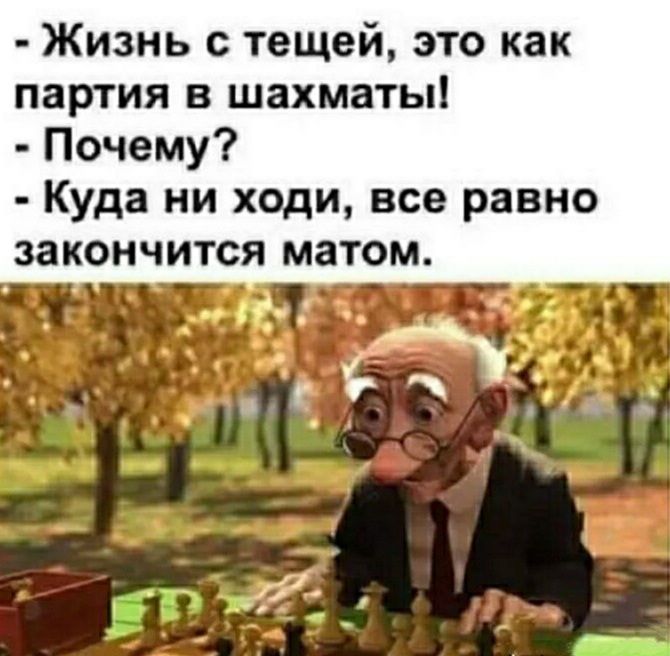 Жизнь с тещей это как партия в шахматы Почему Куда ни ходи все равно закончится матом х