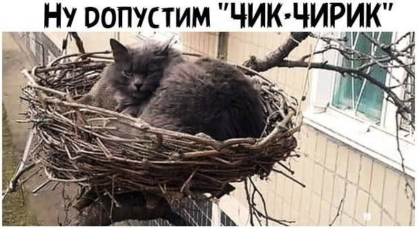 НУ 00_ПУСТИМ_ ЧИК ЧИРИ