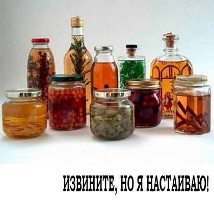 ИЗВИНИТЕ НО Я НАСТАИВМО