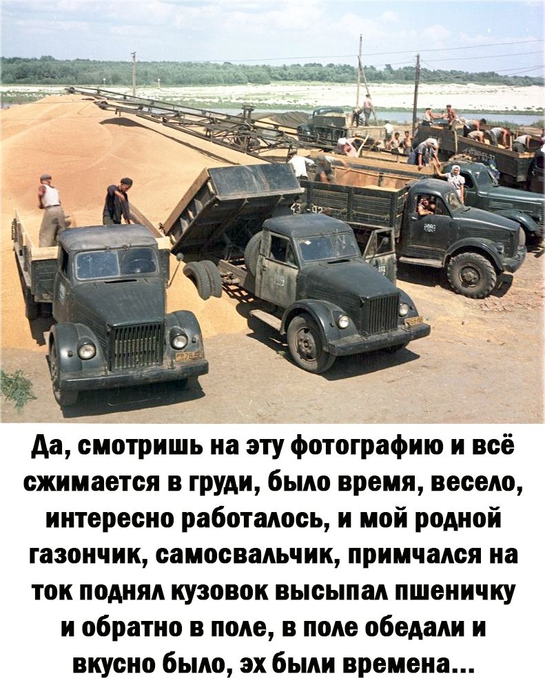 Аа смотришь на эту Фотографию и всё сжимается в груди было время весело иитересио работалось и мой родиой газон тик самосввльчик примчался на ток ПОМПА КУЗППОК высыпал ПШВИИЧКУ и обратно в поле в поле обедали и вкусно было их были времена