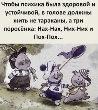 Чтобы психика была здоровой и устойчивой в голове должны жить не тараканы а три поросёнка Нах Нах НихНих и ПохПох