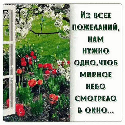 Из всех _ пожилний ним нужно олночтоь мирно нево _ смотрыо вокно