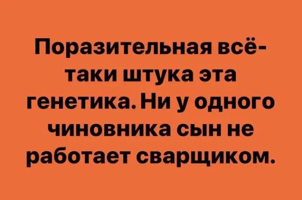 Поразительная всё таки штука эта генетика Ни у одного чиновника сын не работает сварщиком