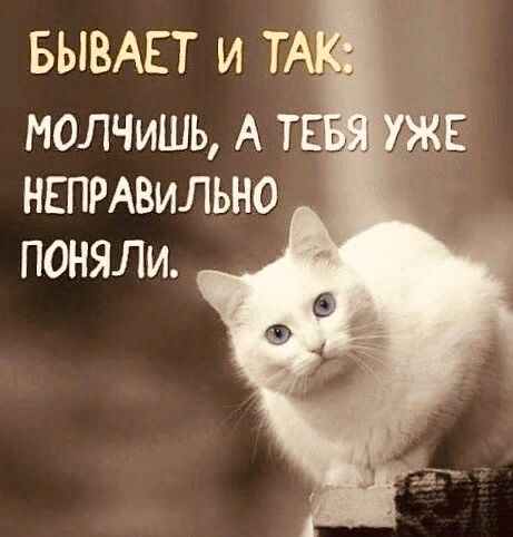 БЫВАЕТ И МОЛЧИШЪ А Т д НЕПРАВИЛЬНО ПОНЯЛИ