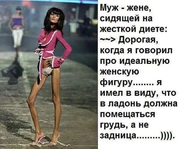 Муж жене сидящей на жесткой диете дорогая когда я говорил про идеальную женскую фигуру я имел в виду что в ладонь должна помещаться грудь а не задница