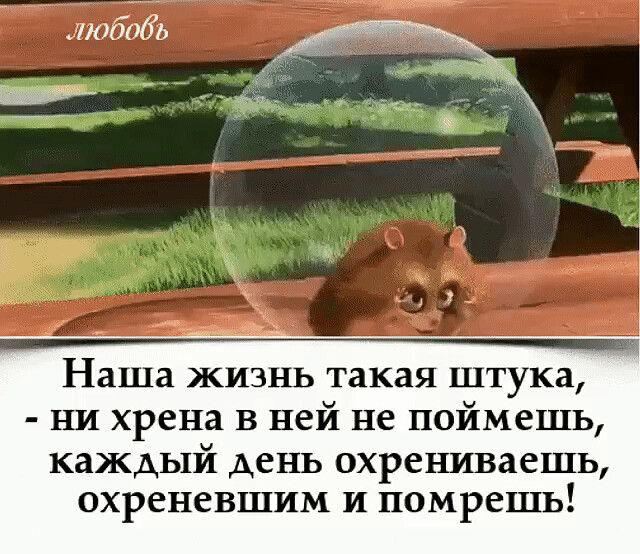 мабибь Наша жизнь такая штука ъш хрена в ней не поймешь каждый день охрениваешь охреневшим и помрешь