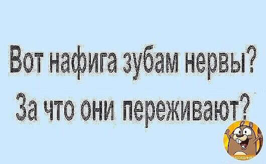 Вот нафига зубам нервы За что они переживают