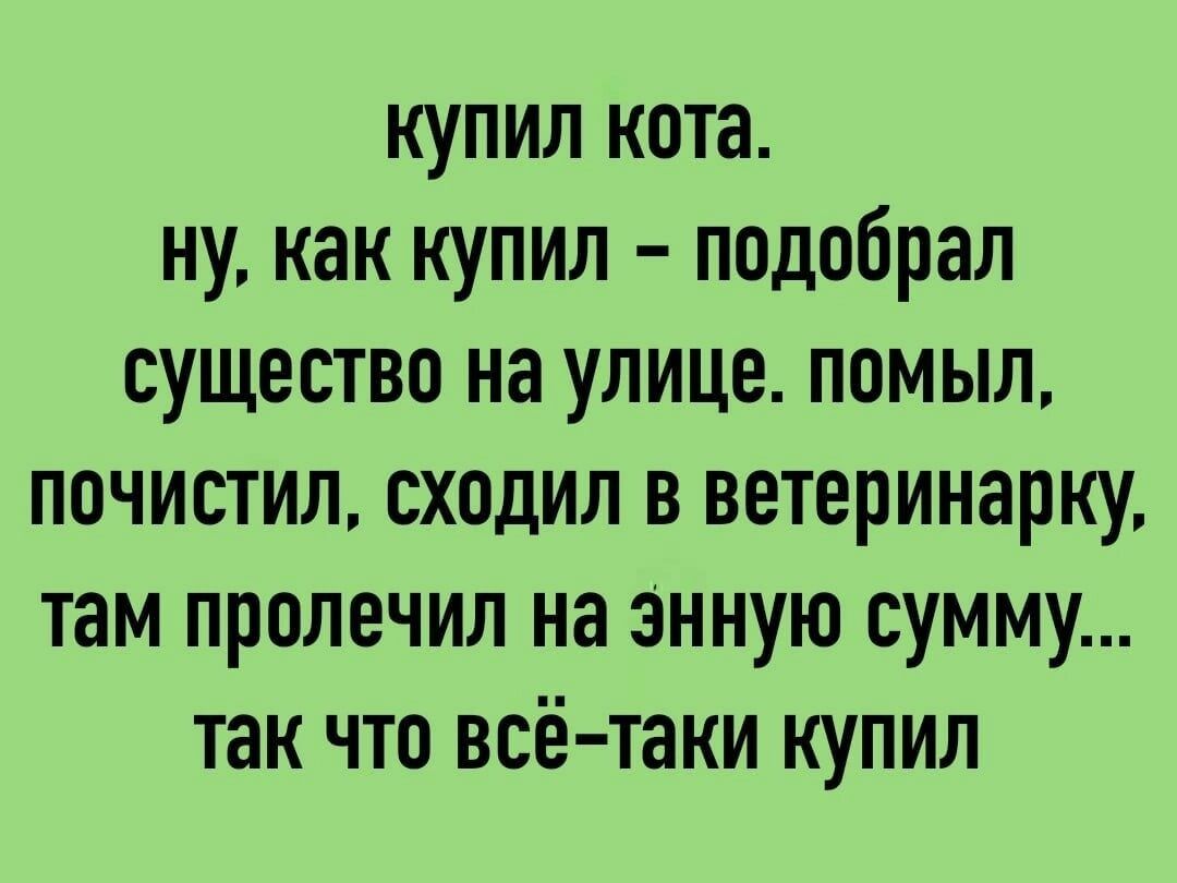 купил кота ну как купил подобрал существо на улице помыл почистил сходил в ветеринарку там пролечил на энную сумму так что всё таки купил