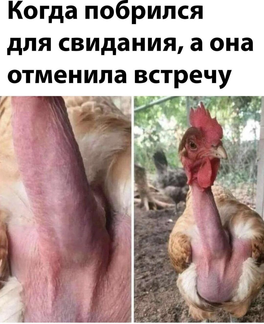 Когда по рипся для свидания а она отменила встречу Ит И
