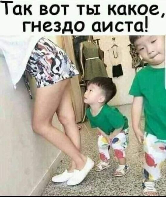 Так вот ть какое гнездо аист