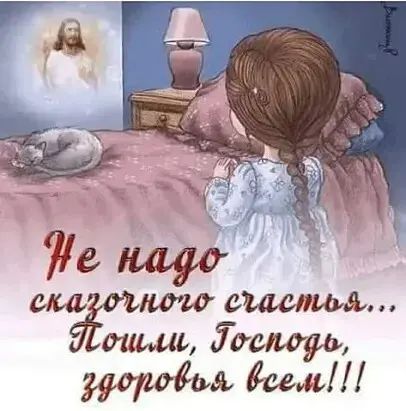 ш домашним иш Томари даем