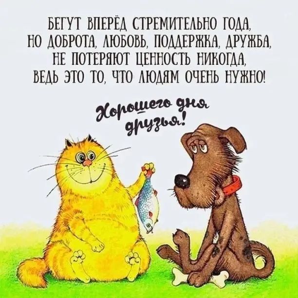 БЕГУТ ВПЕРЕД СТРЕМИТЕАЬНО ЮМ НО ДОБРИШ АЮБОБЬ ПОДДЕРЖКА ДРУЖБА НЕ ПОТЕРЯЮГ ЦЕННОСТЬ НИНОГМ ВЕДЬ ЭТО ТО ЧТО АЮАЯМ ОЧЕНЬ НУЖНО