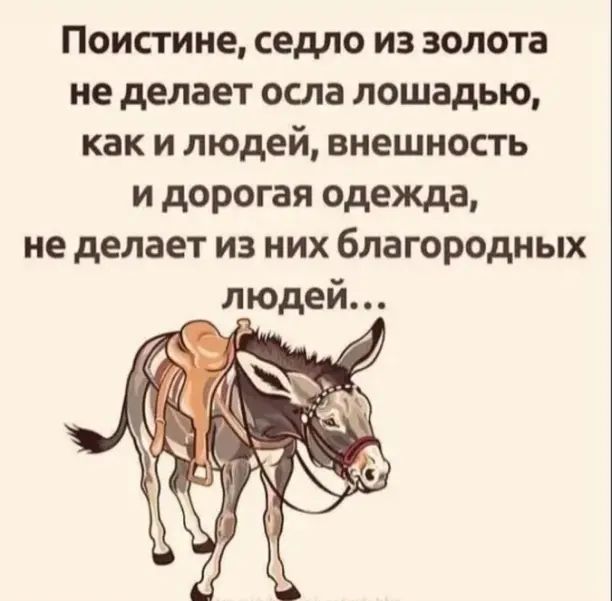 Поистине седло из золота не делает осла лошадью как и людей внешность и дорогая одежда не делает из них благородных