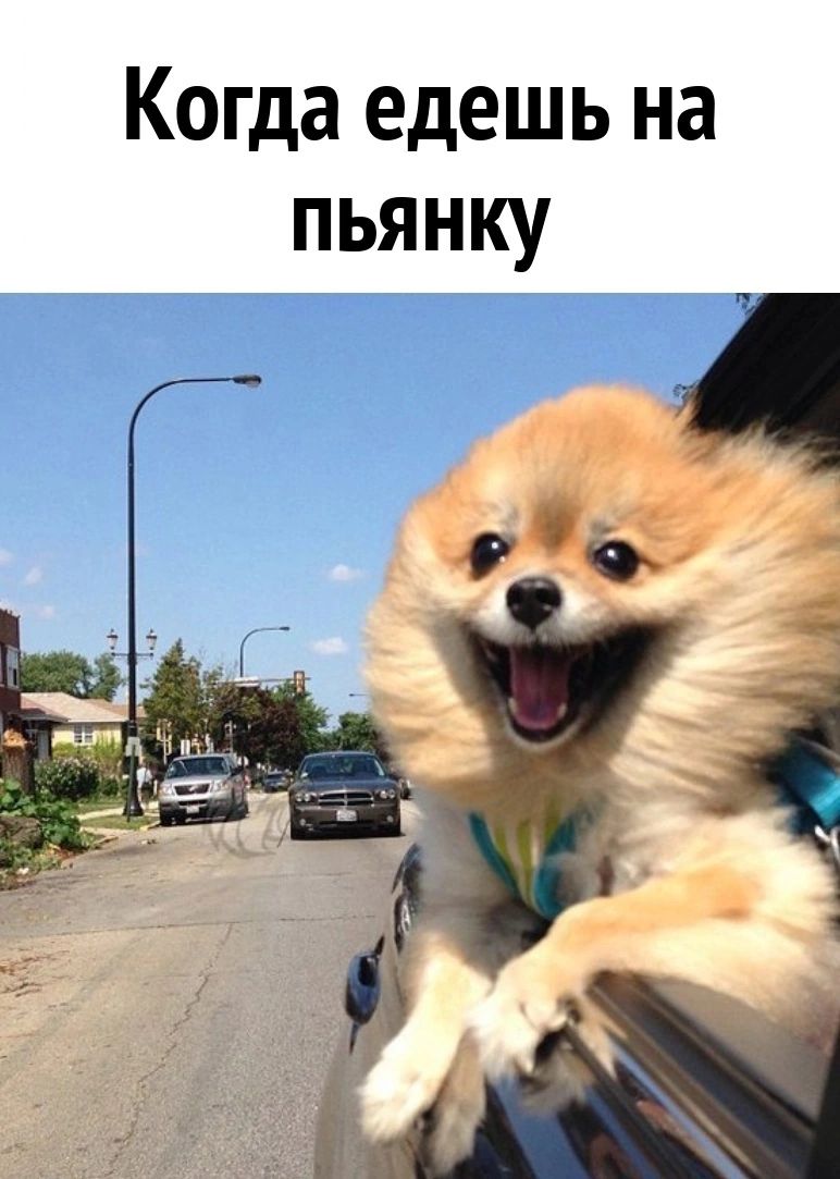 Когда едешь на пьянку