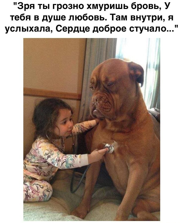 Зря ты грозно хмуришь бровь У тебя в душе любовь Там внутри и услыхапа Сердце доброе стучала