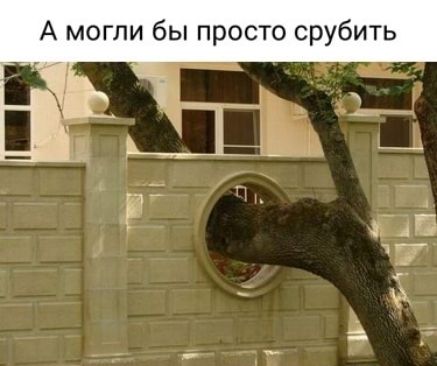 А могли бы просто срубить