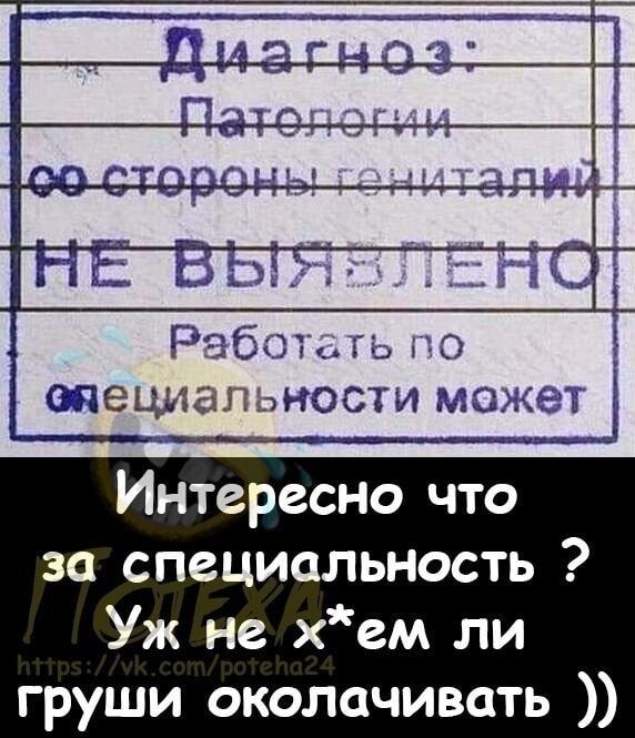 Рбнш 0 слешталонов г аж Ц Интересно что за специальность Уж не хем ли груши околачивать