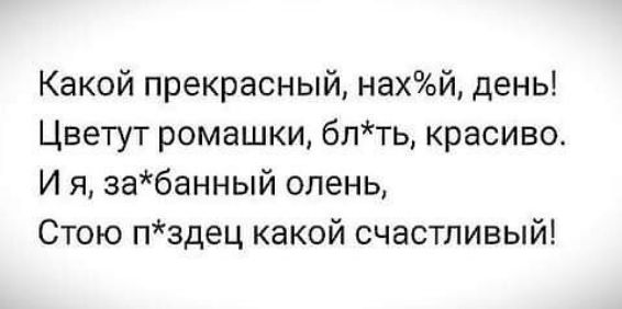 Какой прекрасный нахй день Цветут ромашки бпть красиво И я забанный олень Стою пздец какой счастливый