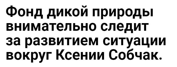 Фонд дикой природы внимательно следит за развитием ситуации вокруг Ксении Собчак