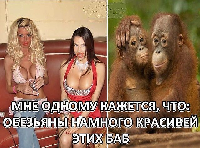 за _ днэм внззь мд ним С Займ