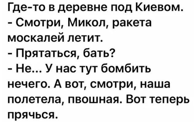 Где то в деревне под Киевом Смотри Микол ракета москалей петит Прятаться бать Не У нас тут бомбить нечего А вот смотри наша полетела пвошная Вот теперь прячься