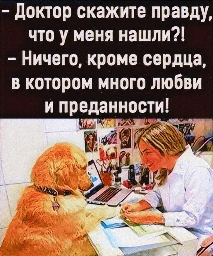доктор скажите правду что у меня нашли Ничего кроме сердца в котором много любви и предан