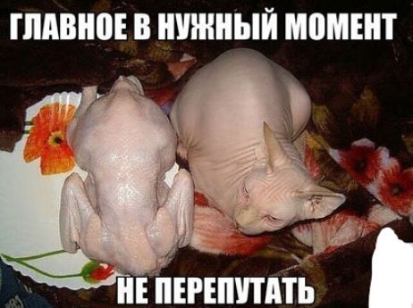 ШВП В ШИННЫЙ ШШНП ніігіппдіь
