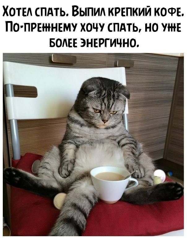 ХОТЕЛ СПАТЬ ВЫПИА КРЕПКИЙ КОФЕ ПОПРЕШНЕМ ХОЧУ СПАТЬ НО УЖЕ БОАЕЕ ЭНЕРГИЧНО