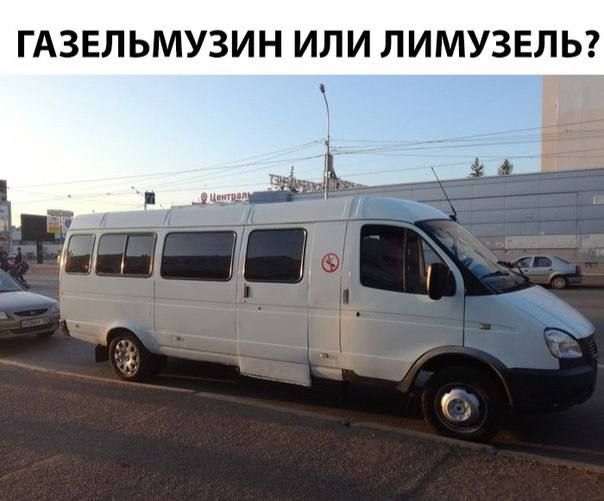 ГАЗЕЛЬМУЗИН ИЛИ ПИМУЗЕЛЬ