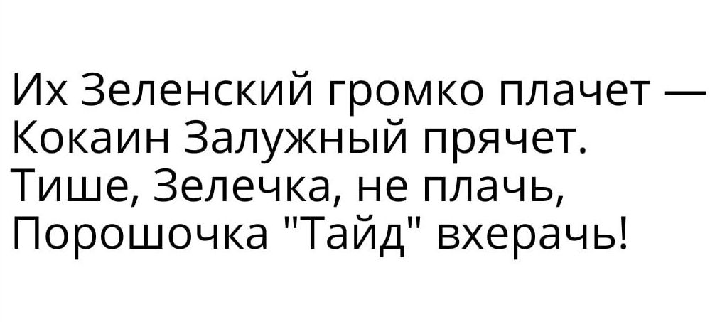 Их Зеленский громко плачет Кокаин Залужный прячет Тише Зепечка не плачь Порошочка Тайд вхерачь