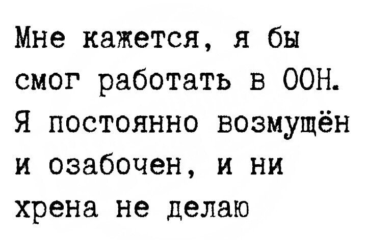 Мне кажется я бы смог работать в ООН Я постоянно возмущён и озабочен и ни хрена не делаю