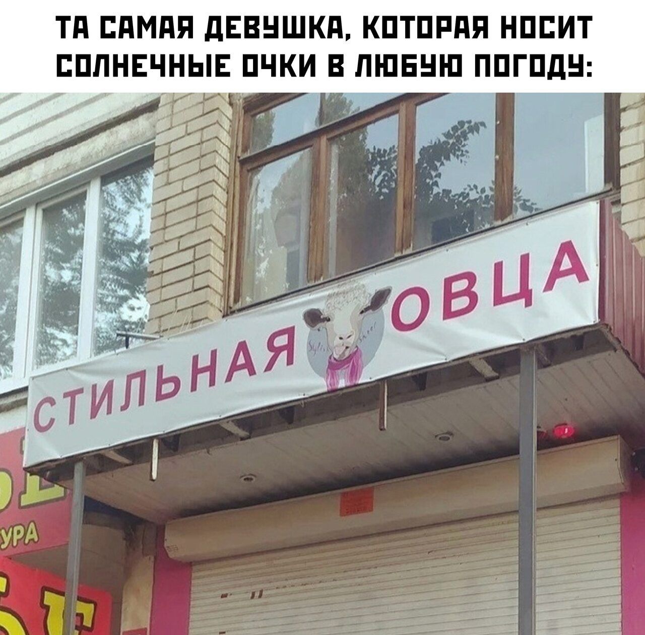 ТП ЕПМПП дЕЕНШКП КПТПРПП НПЕИТ БППНЕЧНЫЕ ПЧКИ В ПЩЕШП ППГПДН