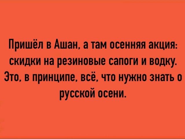 Пришёл в Ашан а там осенняя акции скидки на резиновые сапоги и водку Зто принципе всё что нужно знать в русской осени