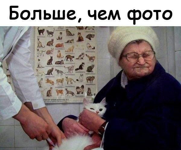 Больше чем срото