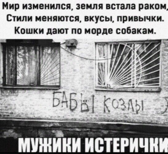 Мир изменился земля встала раком Стили меняются вкусы привычки Кошки дают по морде собакам